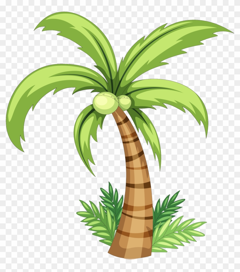 Coconut Drawing Clip Art - Simple Coconut Tree Drawing #9862