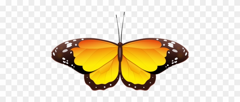 Yellow Butterfly Clip Art - Blue And Orange Butterfly Clipart #10086