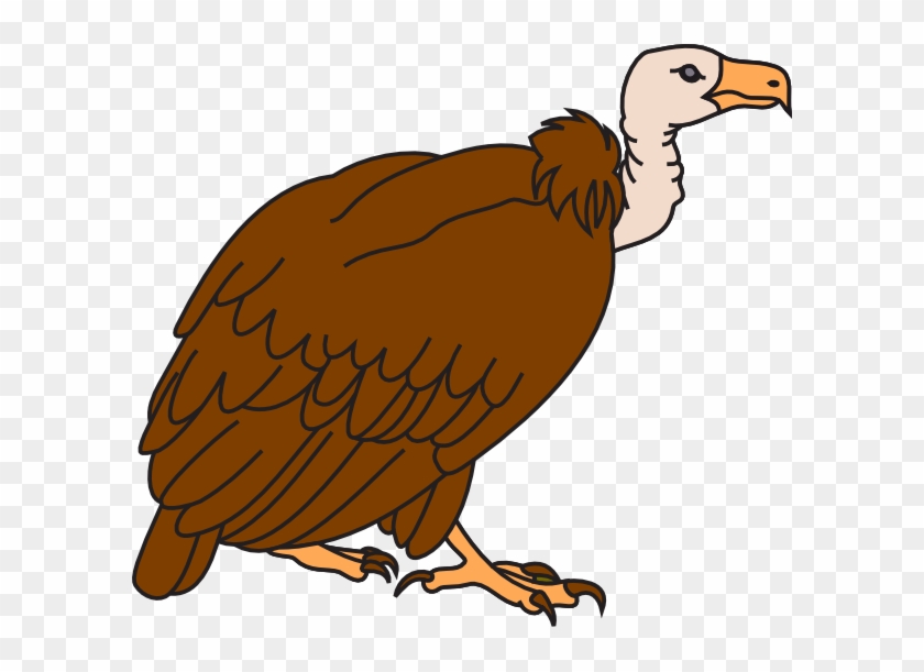 Clipart Image Of Vulture #10224