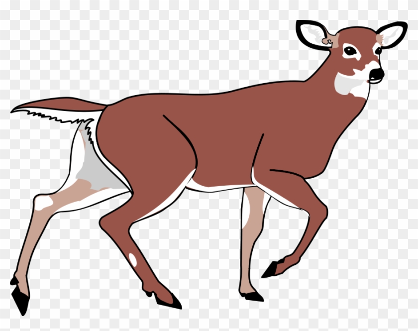 Deer Clip Art - Animated Deer Png #10253