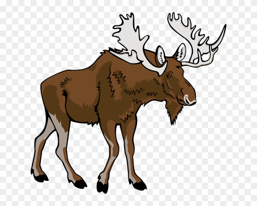 Moose Clipart Free Download Clip Art On - Free Clip Art Moose #10254