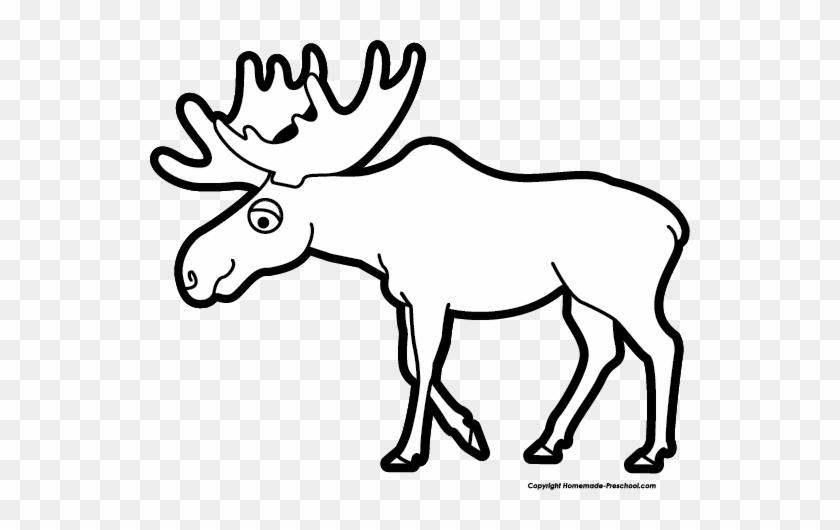 Image Of Moose Clipart 9 Clip Art Images Free For - Moose Black And White #10256