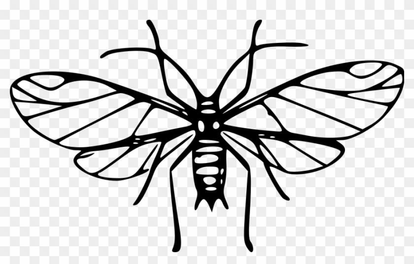 Mosquito Clipart - Mosquitoes Clipart Black And White #10661