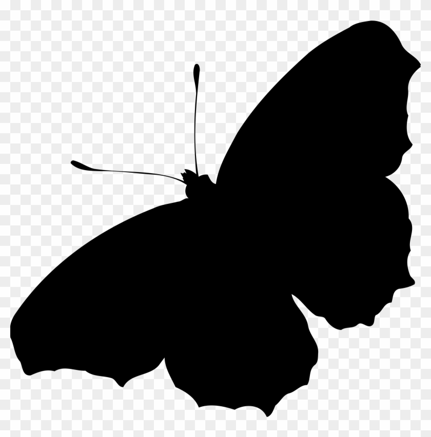 Peacock Butterfly Icons Png - Butterfly Silhouette Png #10824