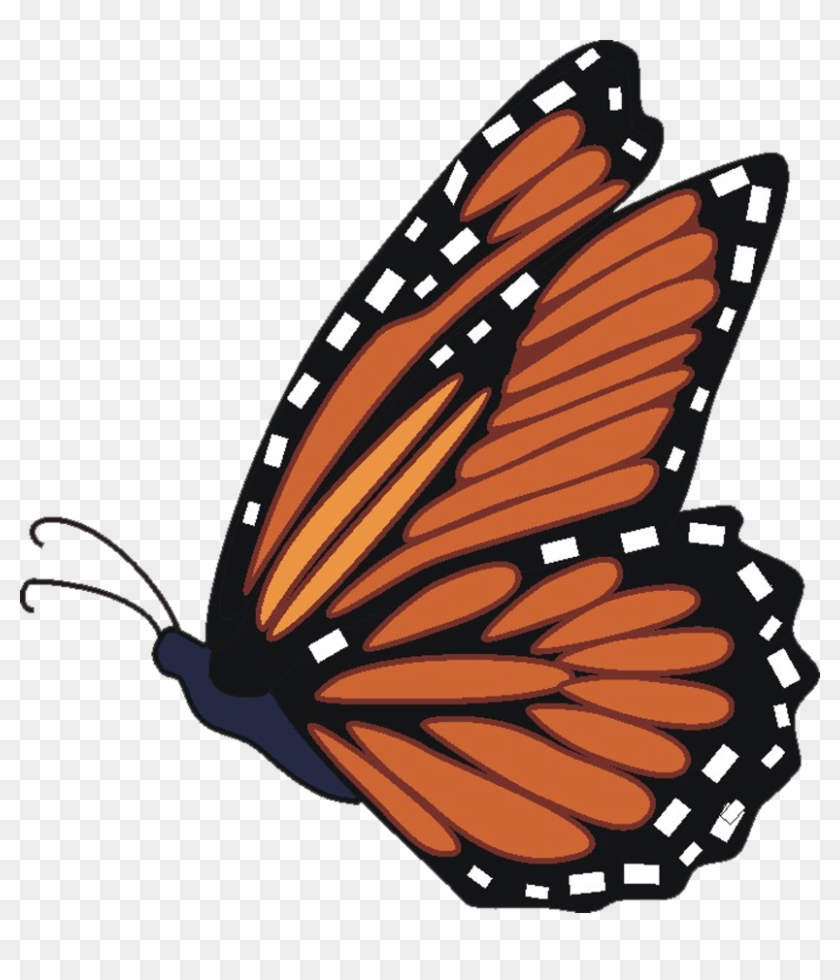 Butterfly Clip Art - Free Clip Art Monarch Butterfly #10897