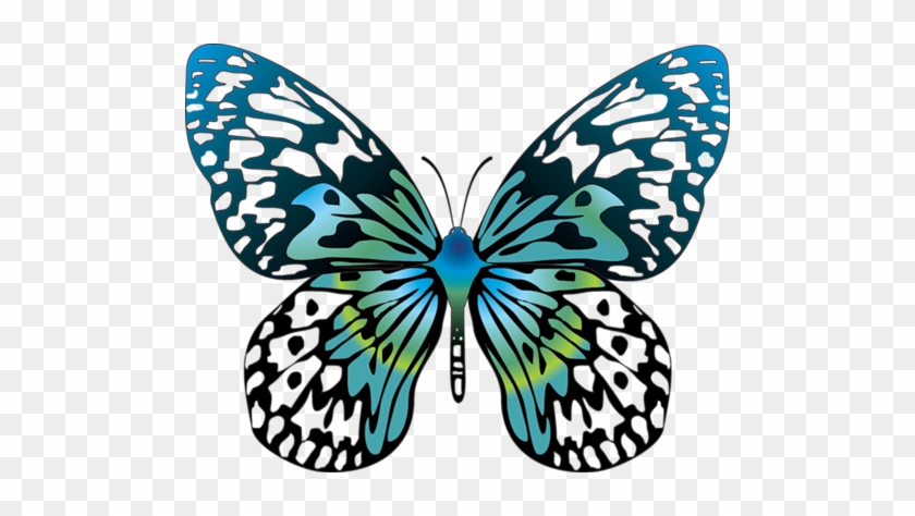 Butterfly Clip Art - Butterfly Cartoon #10945