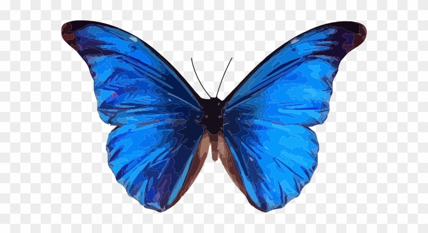 blue butterfly transparent background