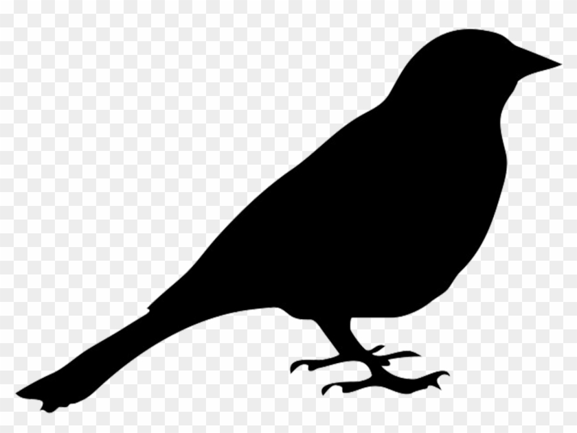 Blackbird Clipart Transparent - Silhouette Of Pigeon #11151