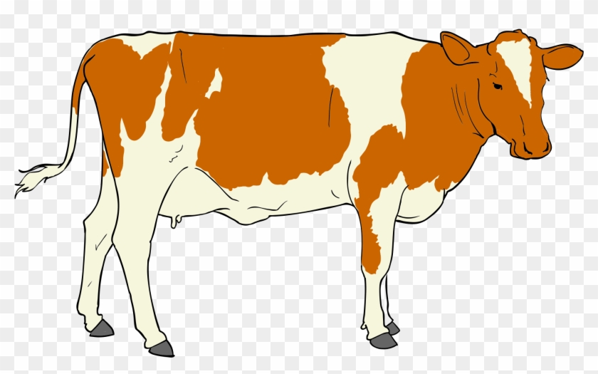 Cow Clipart - Beef Janata Party #11198