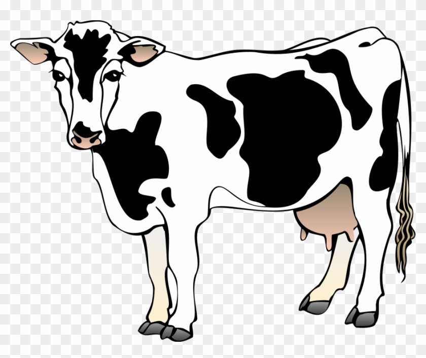 Cow Clip Art Images Free Clipart Images - Clipart Of A Cow #11200