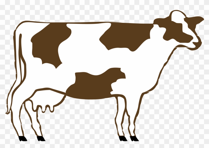 Brown And White Cow - Cow Clip Art #11201