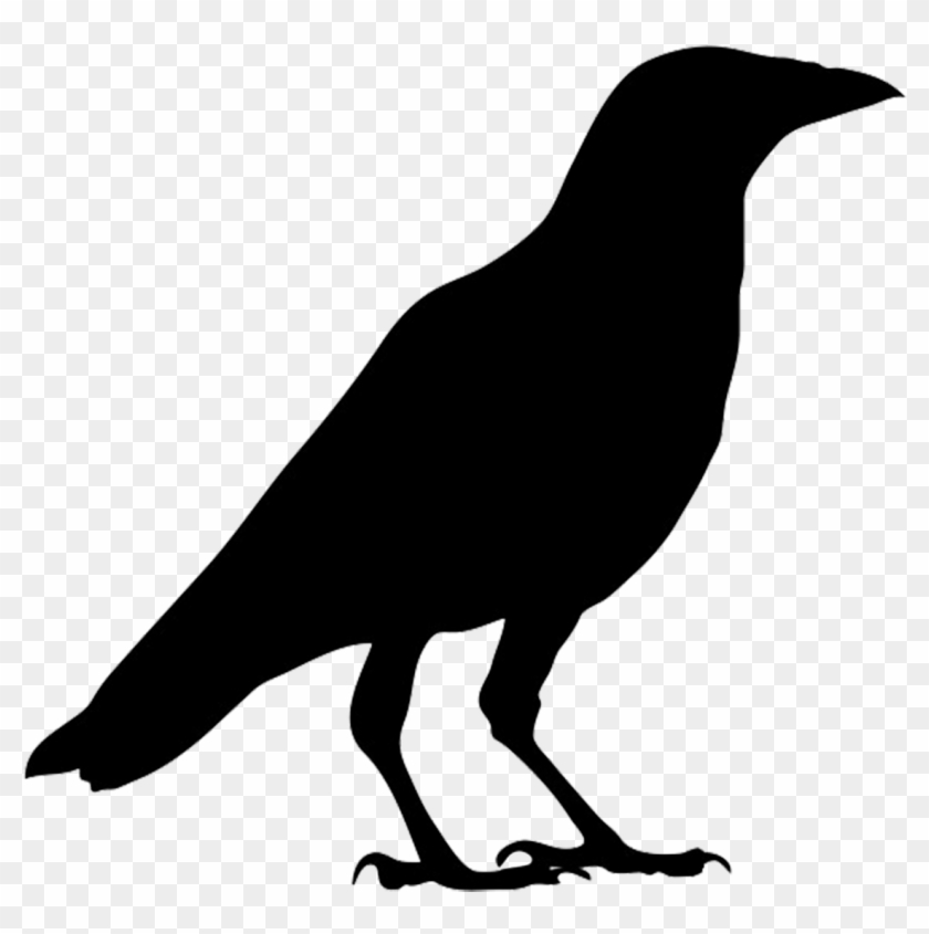 Crow Clipart Birds And Clip Art Photo Crowclipart Clipartbarn - Silhouette Crow #11226