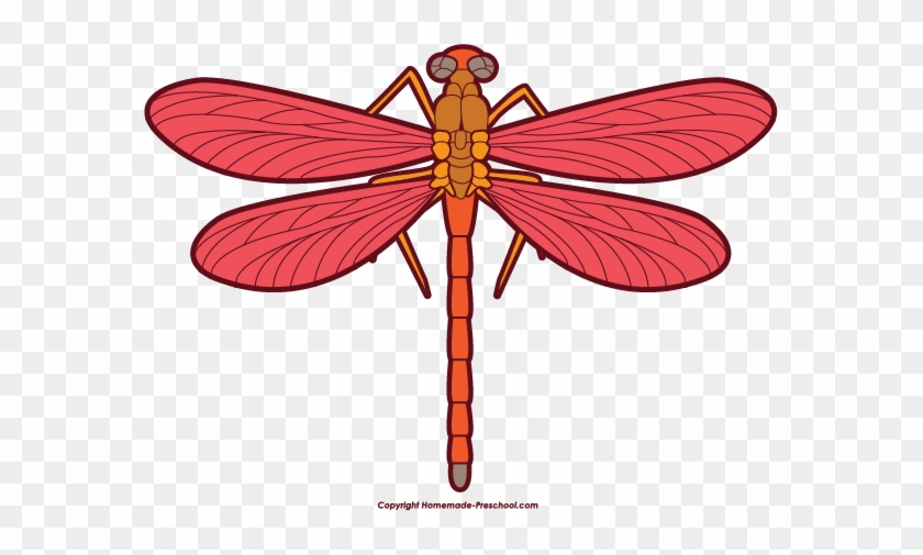 Dragonfly Clip Art Stock Images Free Clipart Images - Red Dragonfly Clipart #11253