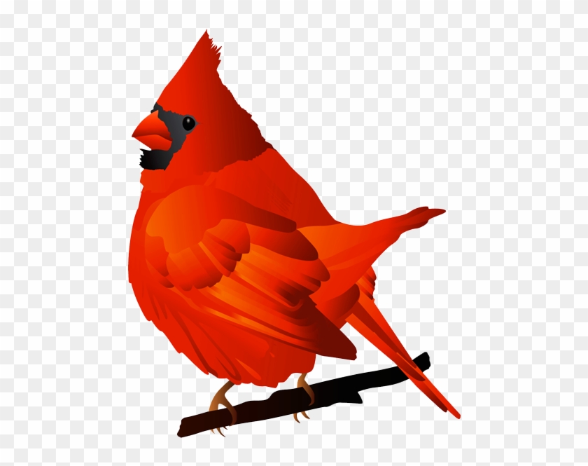 Cardinal Bird Clip Art - Cardinal Clip Art #11301