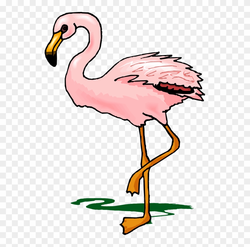 Flamingo Clipart - Cartoon Transparent Flamingo #11322