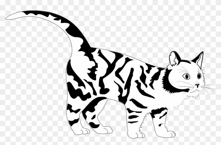 Tiger Cat Black White Line Art Coloring Sheet Colouring - Clip Art #11792