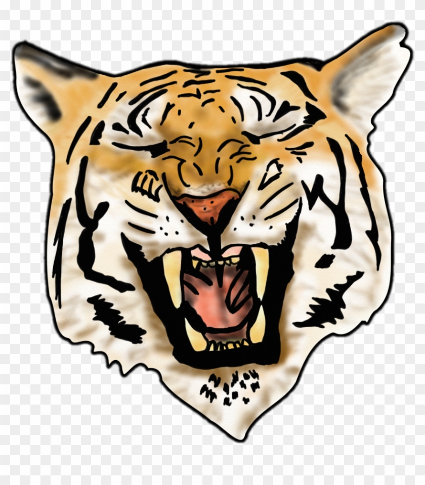 Airbrush Tiger Image - Colors Tiger Vector #11823