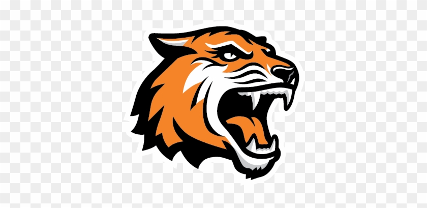 Tiger Face Clipart Png Images Free - Rochester Institute Of Technology Mascot #11826