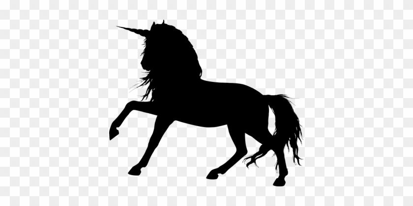 Animal Creature Equine Fantasy Fictional H - Horse Silhouette Transparent Background #11933