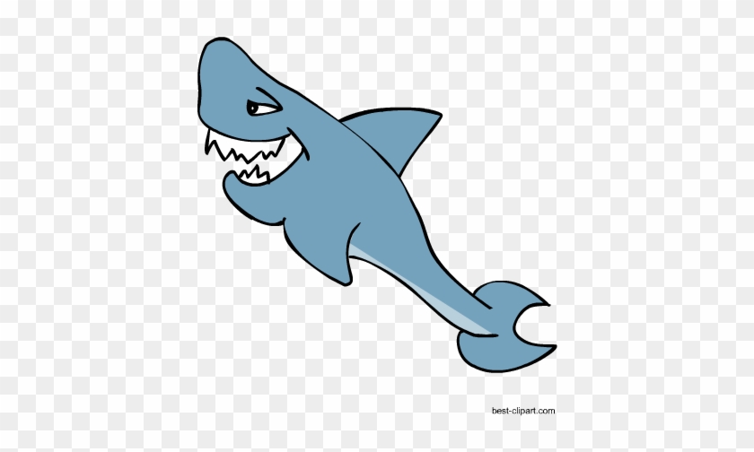 Free Cute Cartoon Shark Clip Art Image - Cartoon #11980