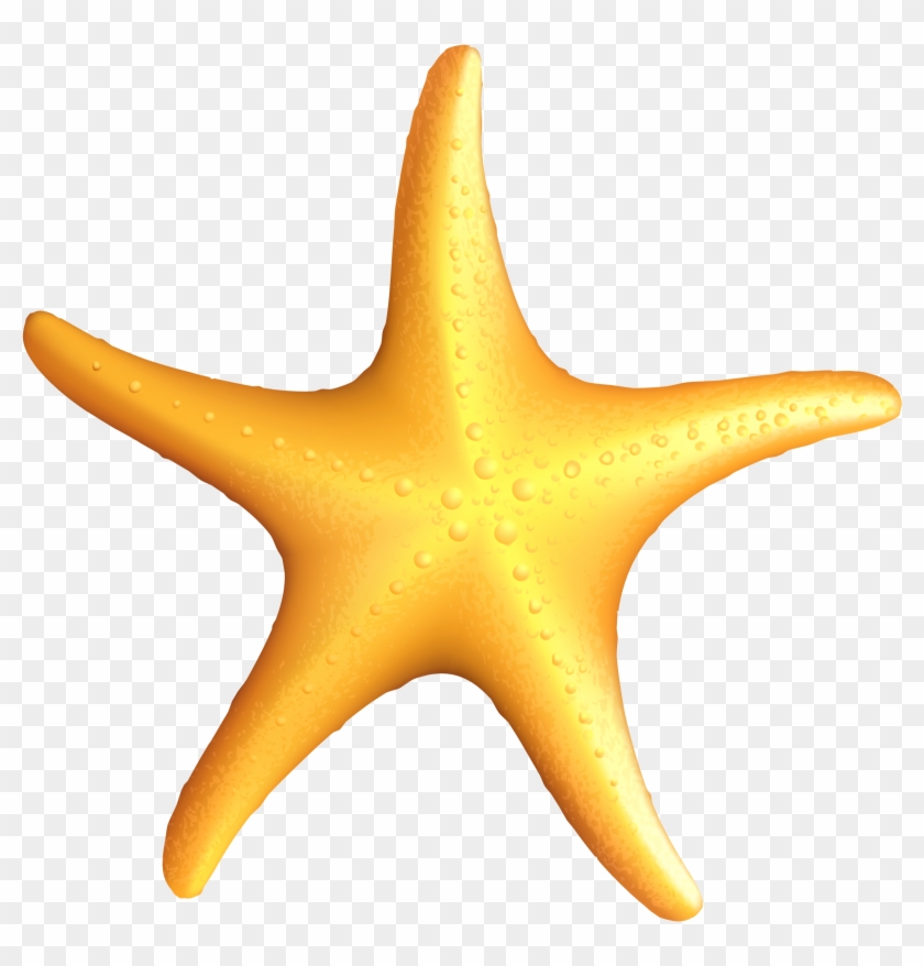 Clip Art Starfish - Starfish Clipart #12016