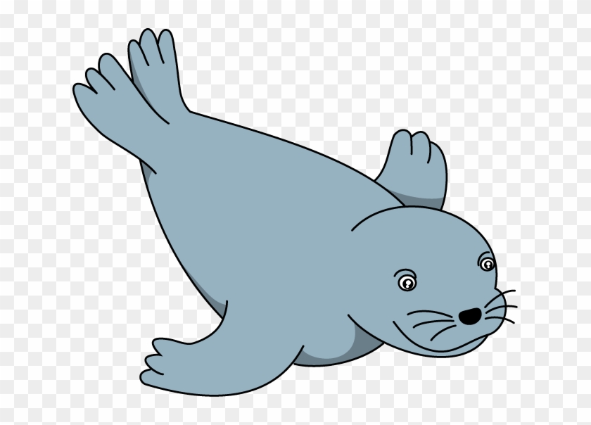 Sea Lion Clip Art - Seals Clip Art #12202