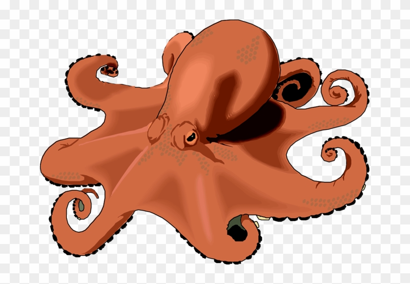 Octopus Ocean Clipart Sea Digital Clip Art Printable - Octopus #12248