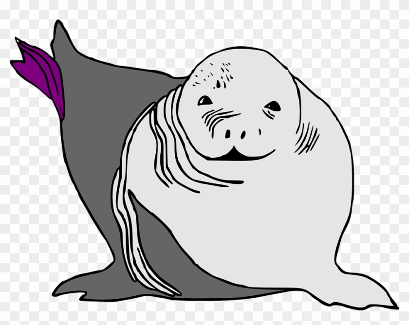 Seal Clipart Ocean - Cartoon Baby Sea Lion #12272