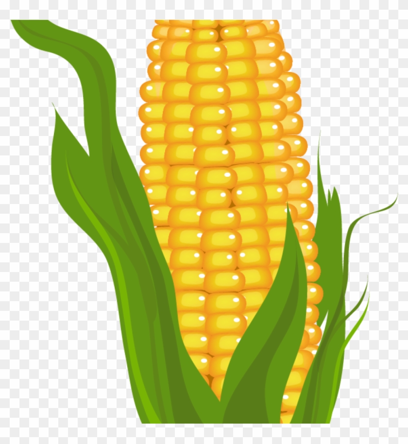 Corn Clipart Corn Clip Art Free Free Clipart Images - Free Clip Art Corn #12393