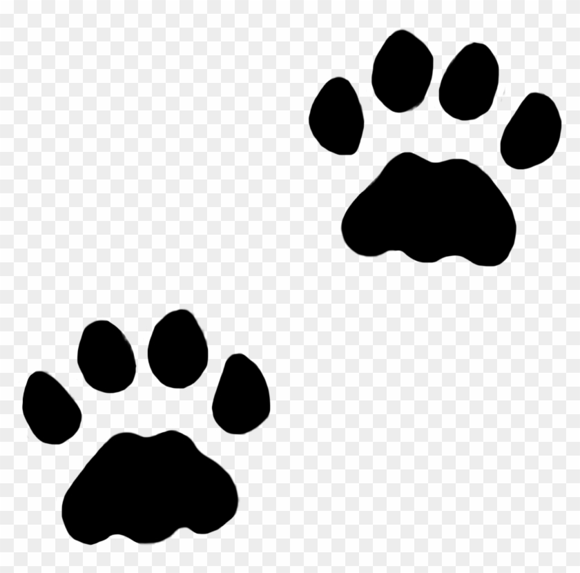 cat and dog paws background