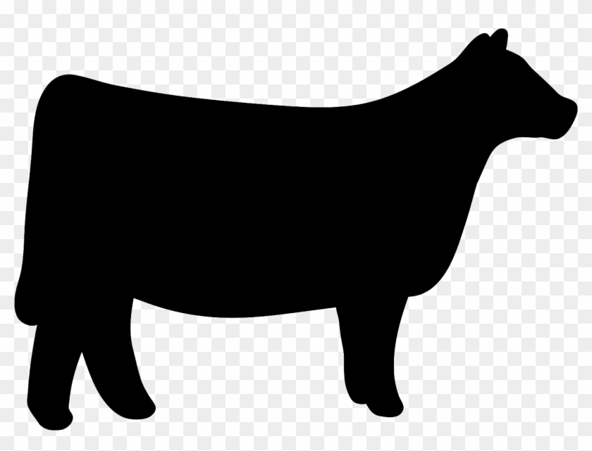Cow Clipart Heifer - Show Heifer Clip Art #12429