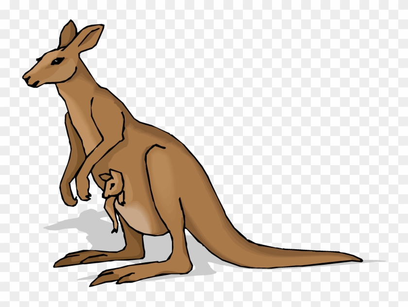 Kangaroo Clip Art Beer Free Clipart Images - Kangaroo Clip Art #12486