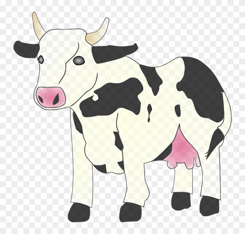 Cow Clip Art Image - Cow Clipart #12570