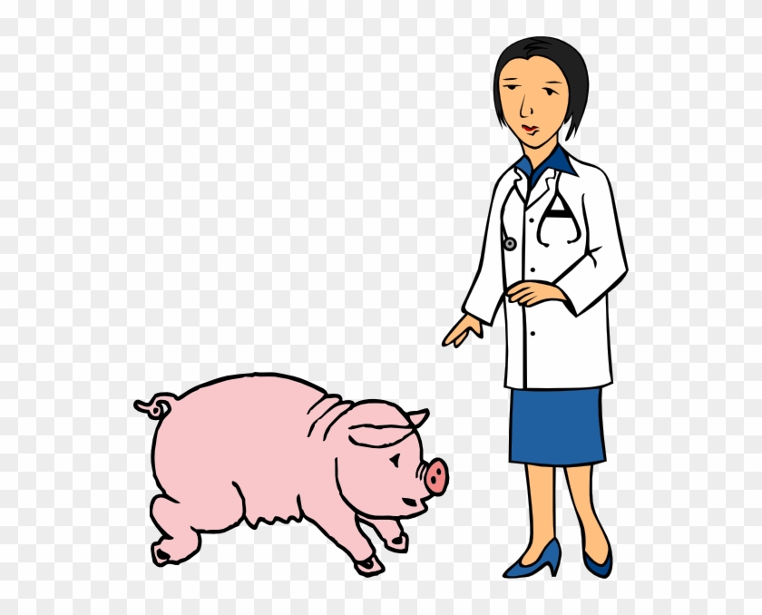 Doctor And Pig Clip Art At Clker - Veterinarian Clipart Png #12625
