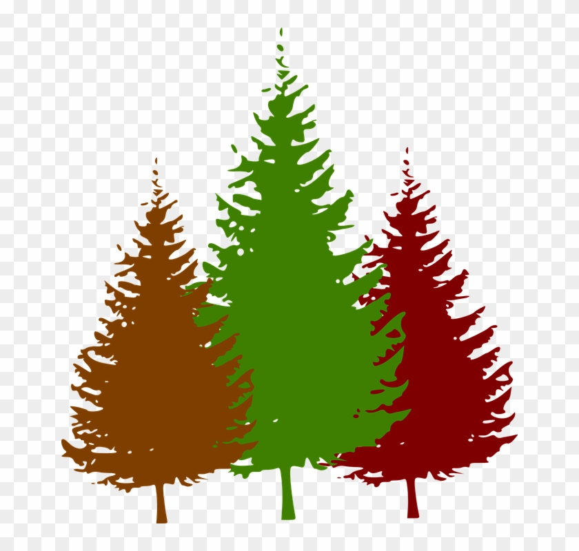 Pine Tree Silhouette Vector #12778