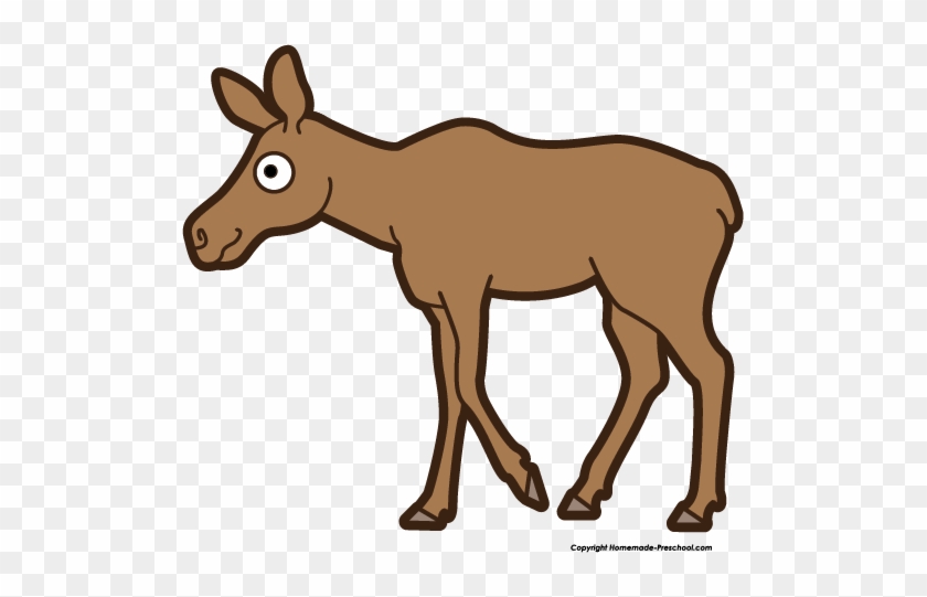 Free Moose Clipart - Moose Calf Clipart #12849