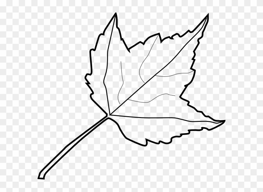 Tree Outline Coloring Book Maple Leaf Clip Art At Vector - Outline Image Of Leaf #12850