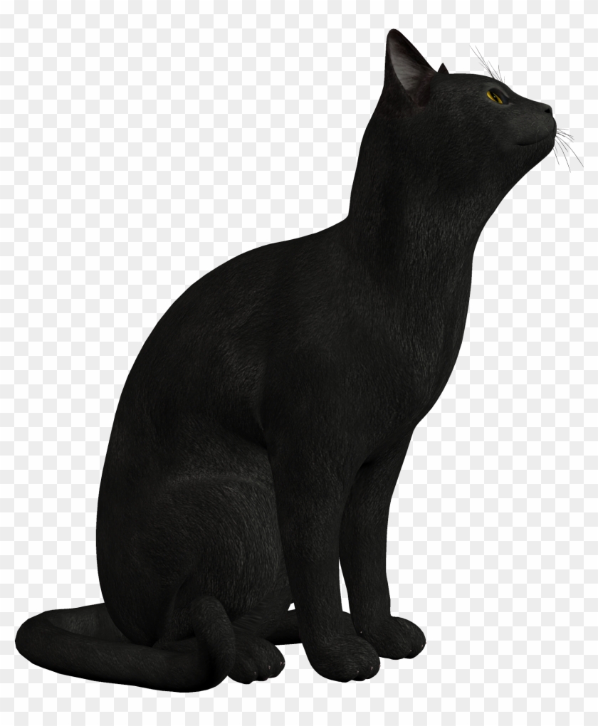 Black Cat Png Clipart 552 - Black Cat Png #12923