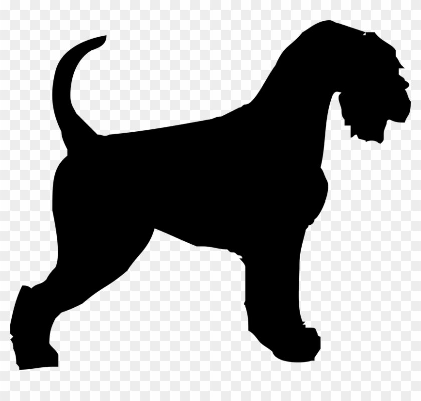 Schnauzer Dog Doggy Outline Animal Coat Shape - Beagle Silhouette #13025