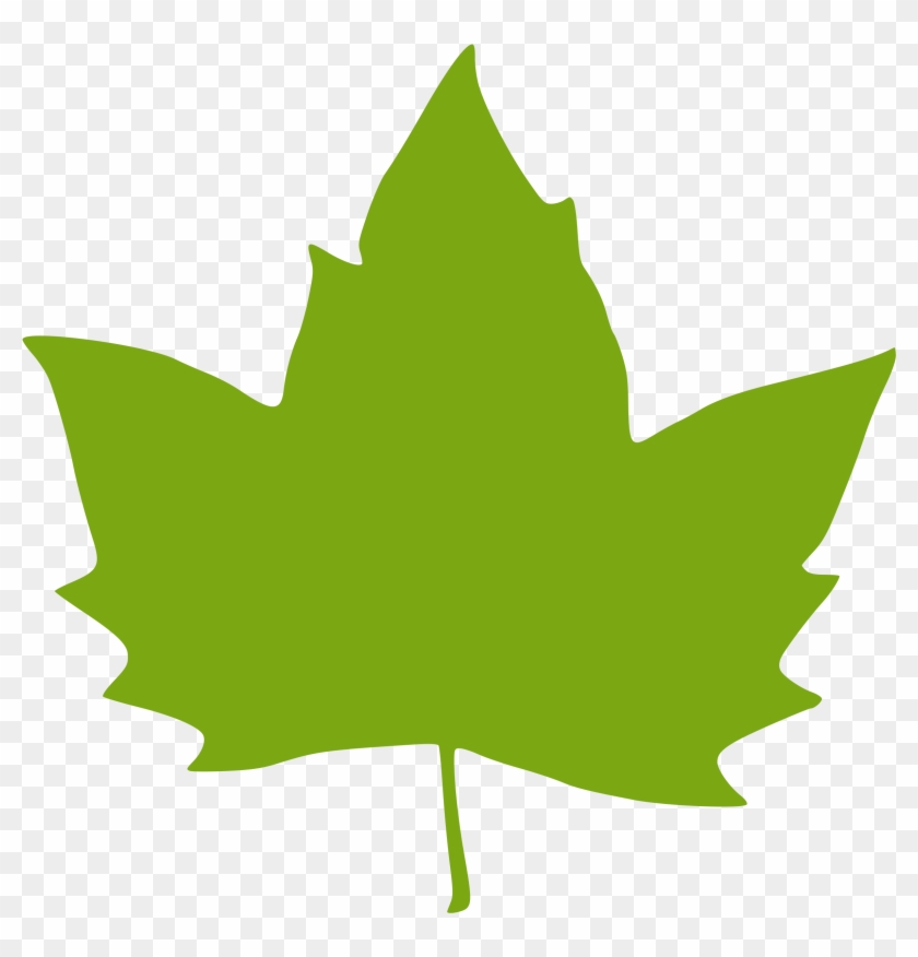 Leaf Clip Art - Green Fall Leaves Clip Art #13169
