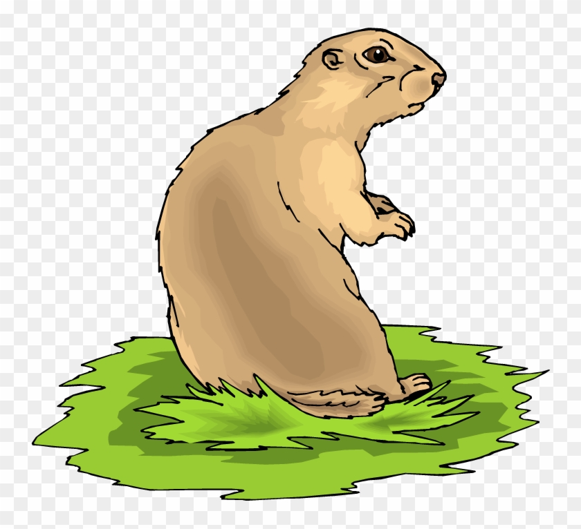 Free Prairie Dog Clipart - Black Tailed Prairie Dog Clipart #13444