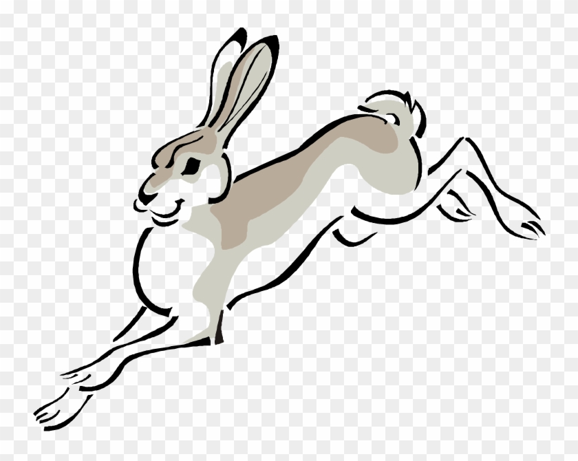 Arctic Hare European Hare Cottontail Rabbit Clip Art - Jack Rabbit Clipart #13591