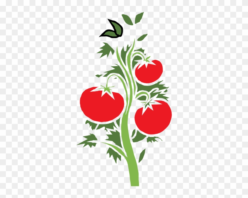 Tomato Plant Clipart #13794