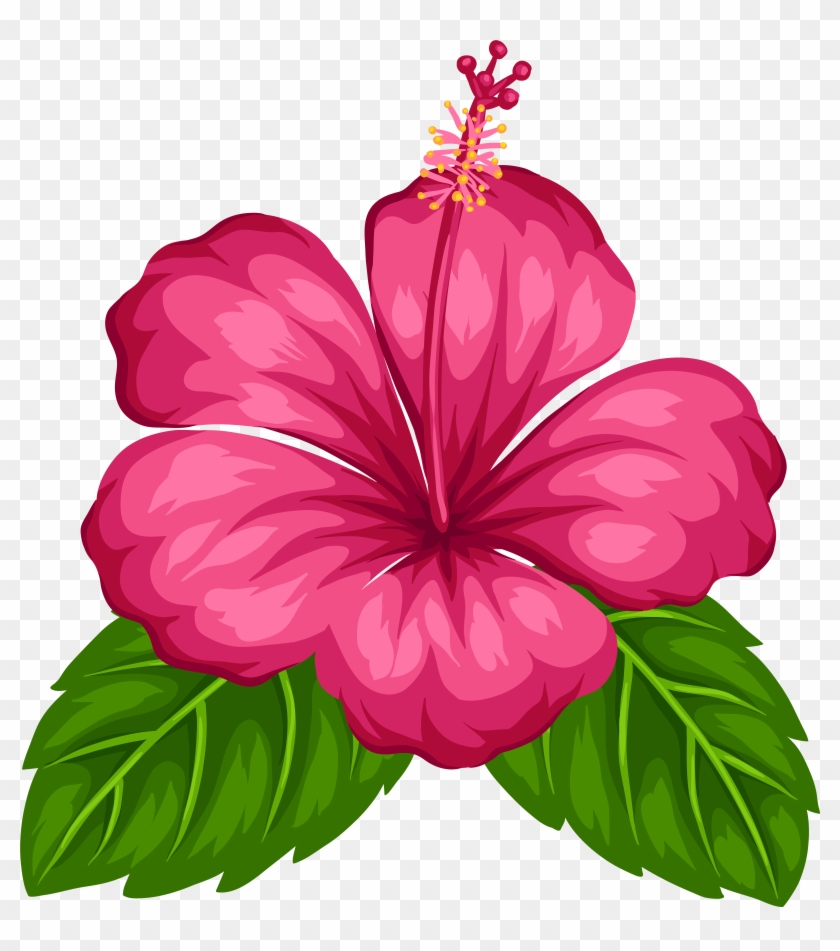 Exotic Flower Png Clip Art - Exotic Flower Png Clip Art #13905