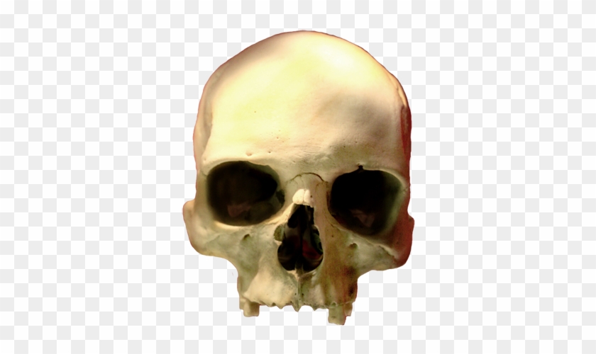 Skull Clip Art Png, Head Skull Png - Skull #13918