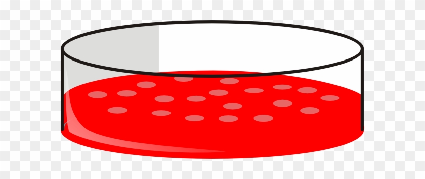 Cell Culture Petri Dish #13969