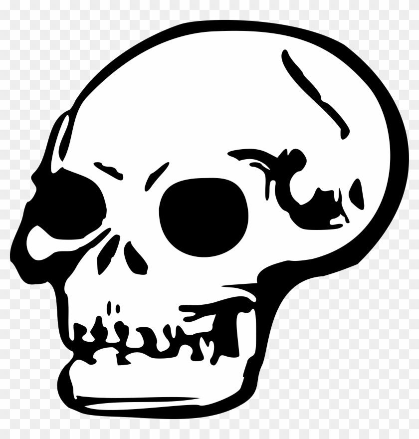 Free Skull - Skull Clip Art #14067