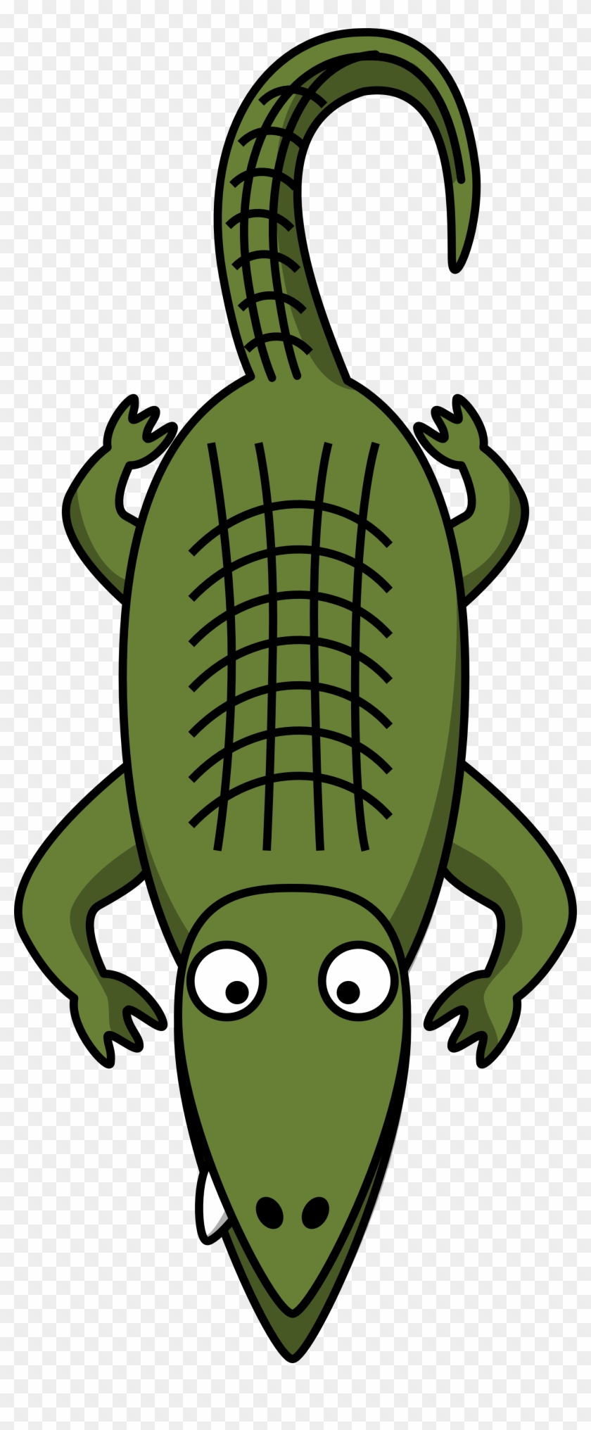 Alligator Cartoon #14268
