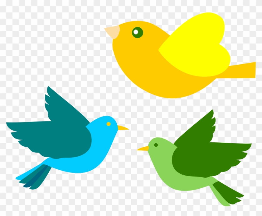 Bird Clip Art - Birds Clipart #14369