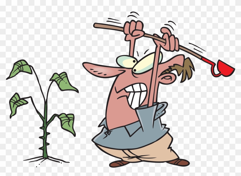 Weed Clip Art - Free Clip Art Pulling Weeds #14448